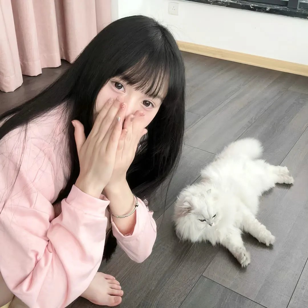 琼楼梦